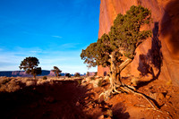 _MG_7552-2