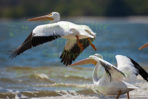 _Y1I7576