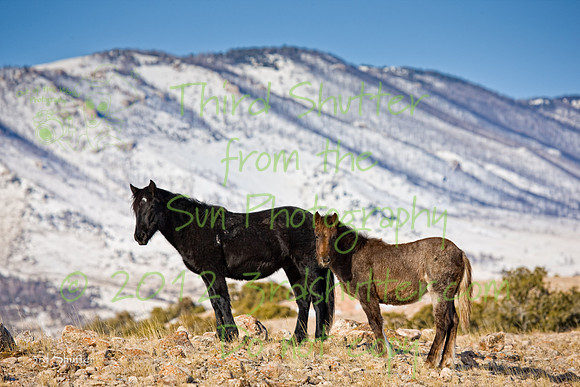 Wyoming_20080104_0B2D7692-Edit