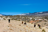 Wyoming_20080104_0B2D7667-Edit