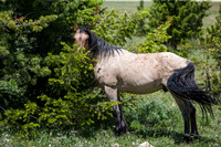VG7C7981