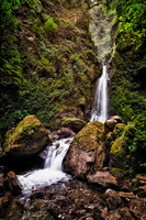 _MG_1977-Edit