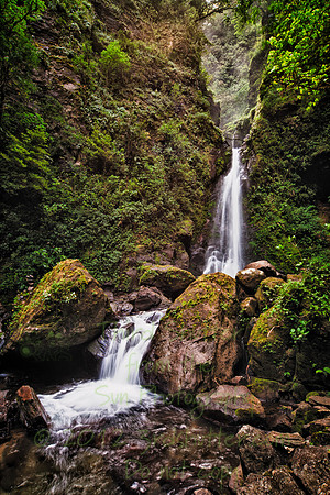 _MG_1977-Edit