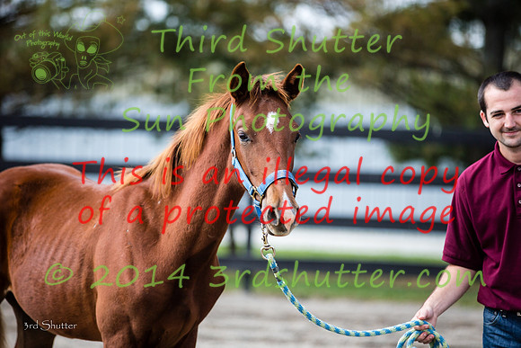 F43Q3711