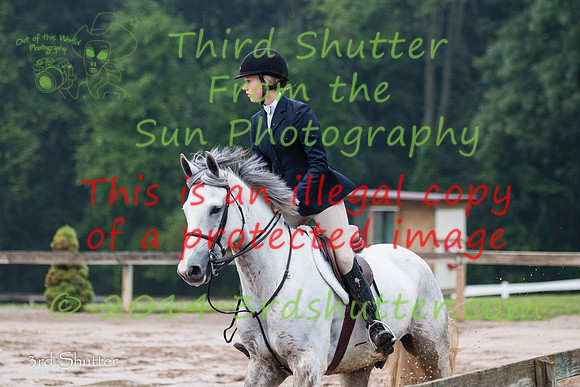 IMG_2984