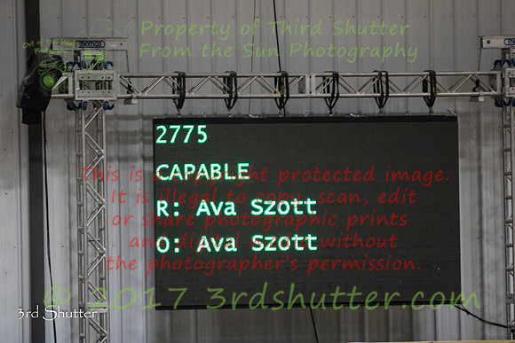 0E5A4194
