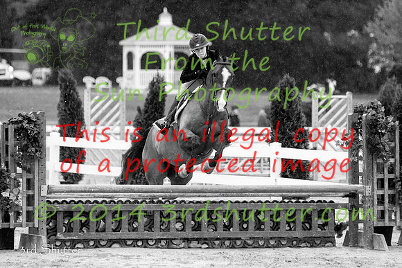 IMG_3313