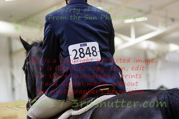 0M3A5531