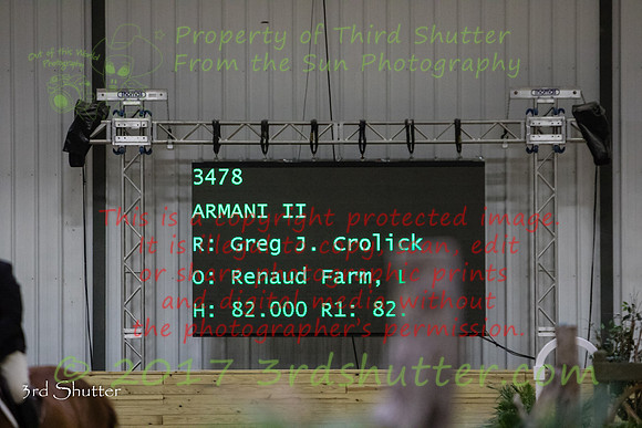 0E5A3761