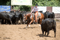 A18I1535