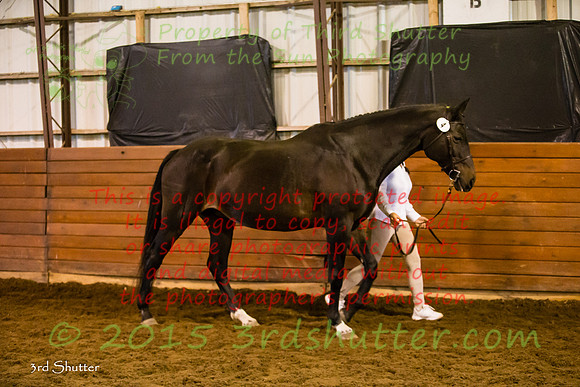 F43Q9862