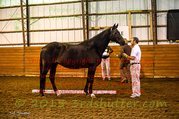 F43Q9657