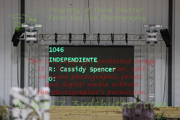 0M3A2028