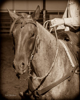 F43Q4736
