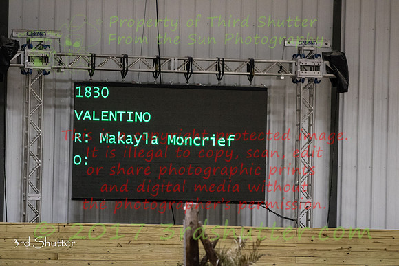 0M3A0446