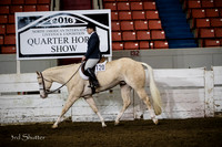 Hunter - AQHA Green