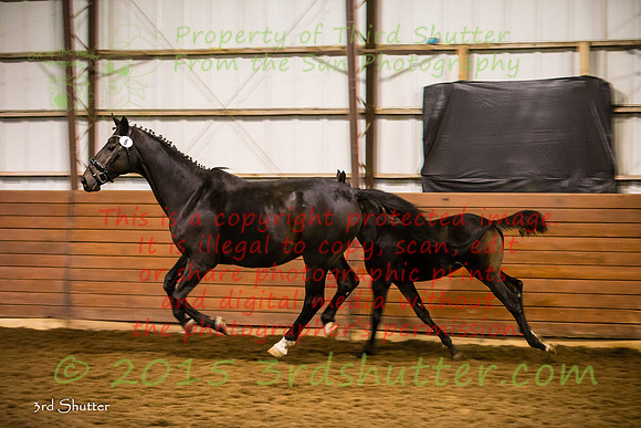 F43Q9733