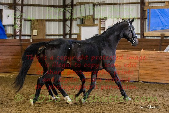 F43Q9731-2