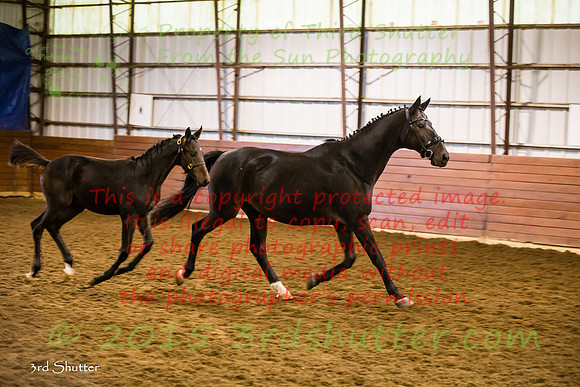 F43Q9734