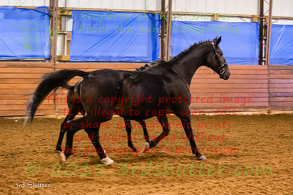 F43Q9729