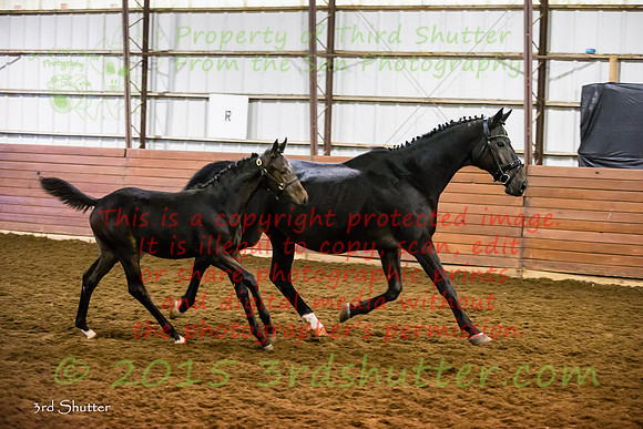 F43Q9735