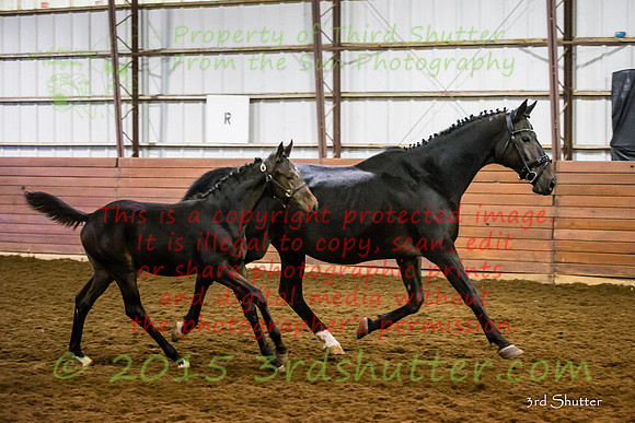 F43Q9735-2