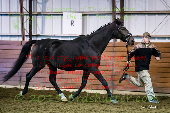 F43Q9719-2