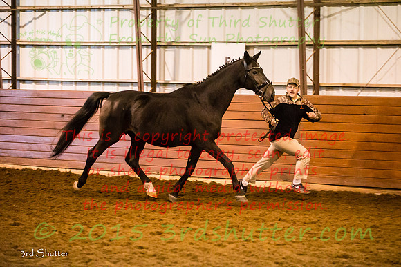 F43Q9724