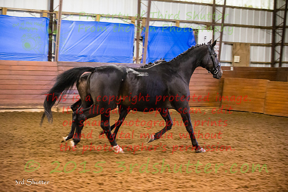 F43Q9730