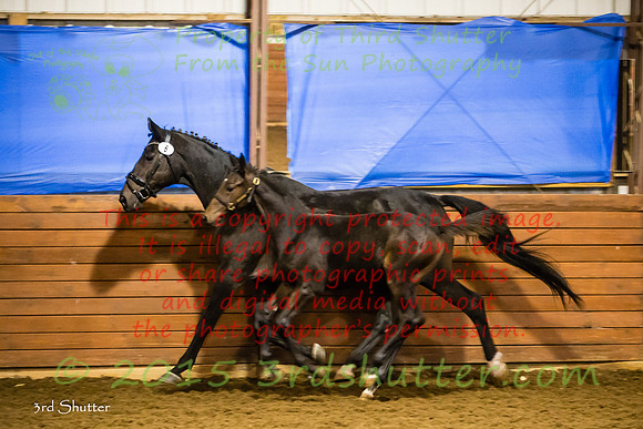 F43Q9739