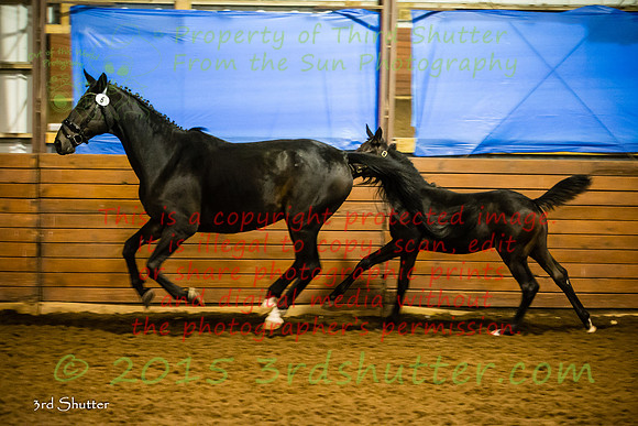 F43Q9732