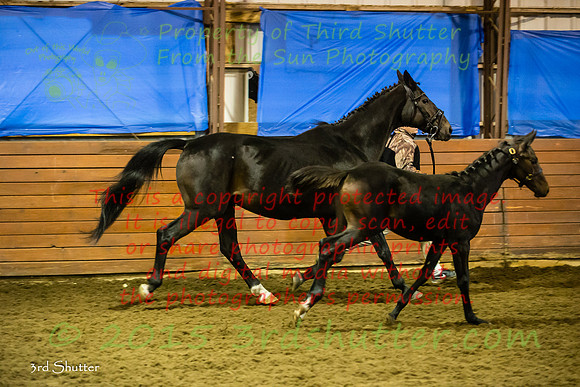 F43Q9727