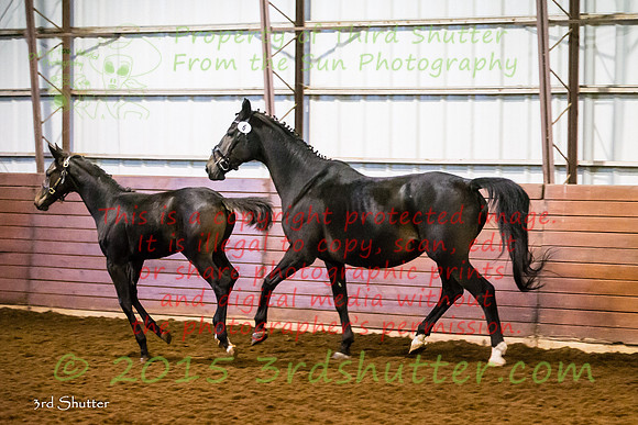 F43Q9741