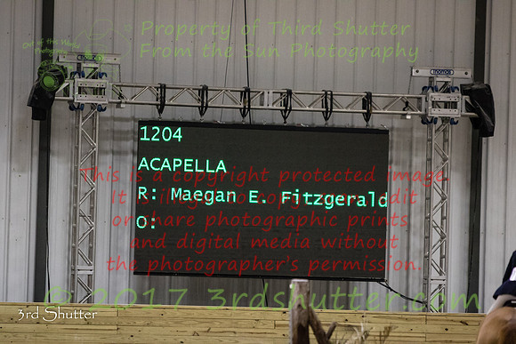0M3A0389