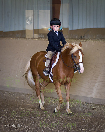 BN1C5919