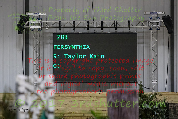 T5568x3708-00088