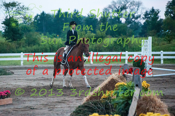 130817_WalkTrotClassic_0608