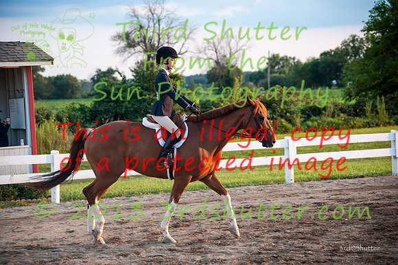 130817_WalkTrotClassic_0403