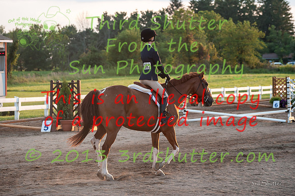 130817_WalkTrotClassic_0404