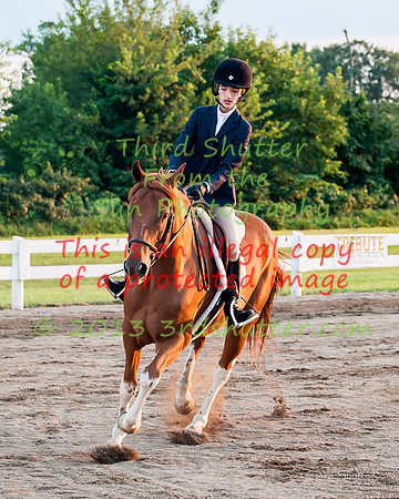 130817_WalkTrotClassic_0416