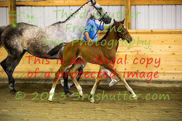 F43Q0708
