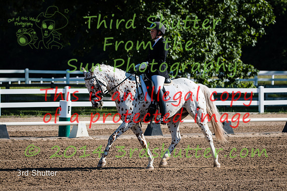 IMG_6070