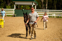 Foal 8th to go