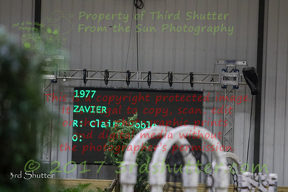 0E5A8373