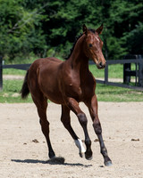 F43Q9795