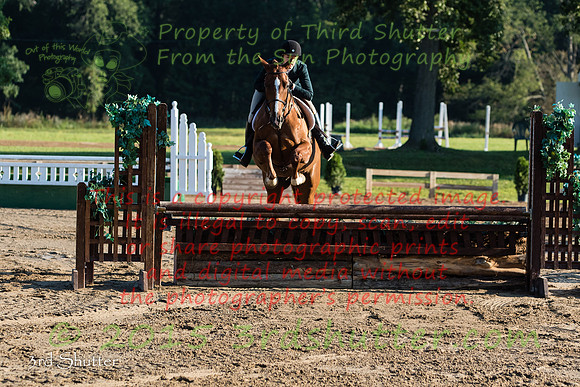 BV2A1036