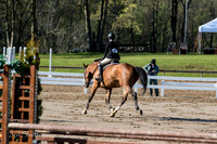 BV2A0043-2