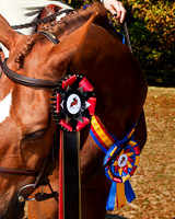 IMG_6634-Edit