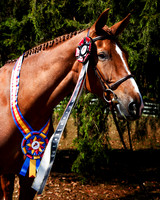 IMG_6582-Edit