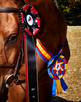 IMG_6635-Edit